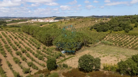 Terreno para Venda em Bombarral e Vale Covo