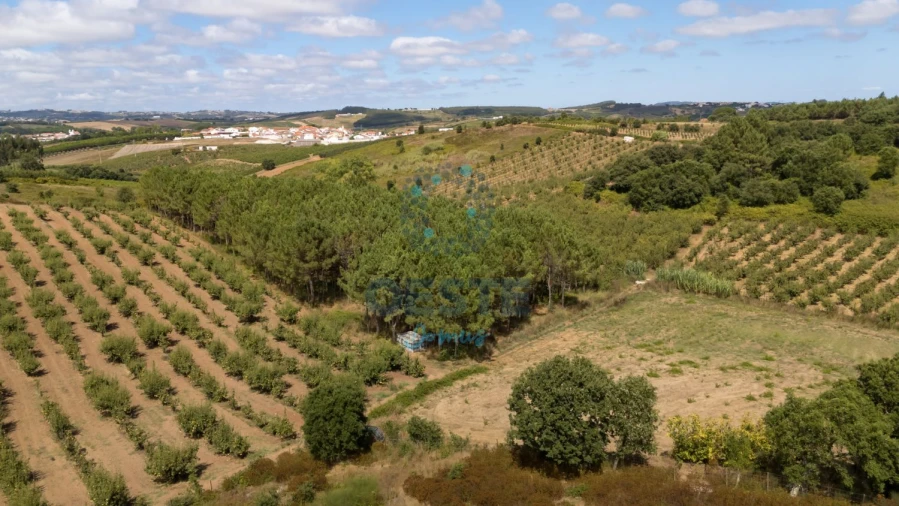 Terreno para Venda em Bombarral e Vale Covo Foto 4
