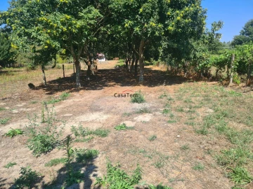 Terreno para Venda em Queirã