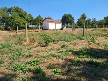 Terreno para Venda em Queirã