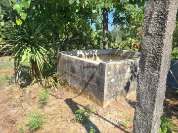 Terreno para Venda em Queirã