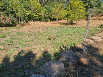 Terreno para Venda em Queirã