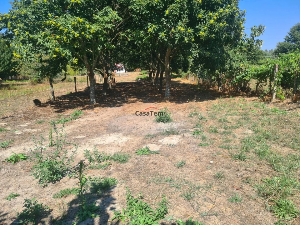 Terreno para Venda em Queirã Foto 1