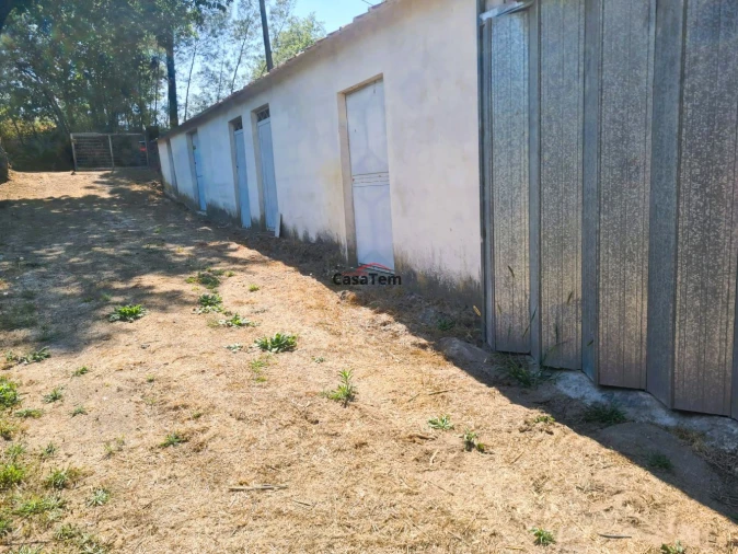Terreno para Venda em Queirã Foto 5
