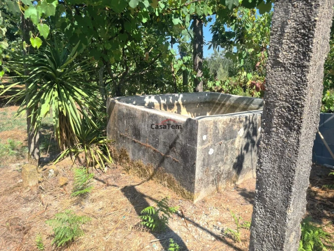 Terreno para Venda em Queirã Foto 4