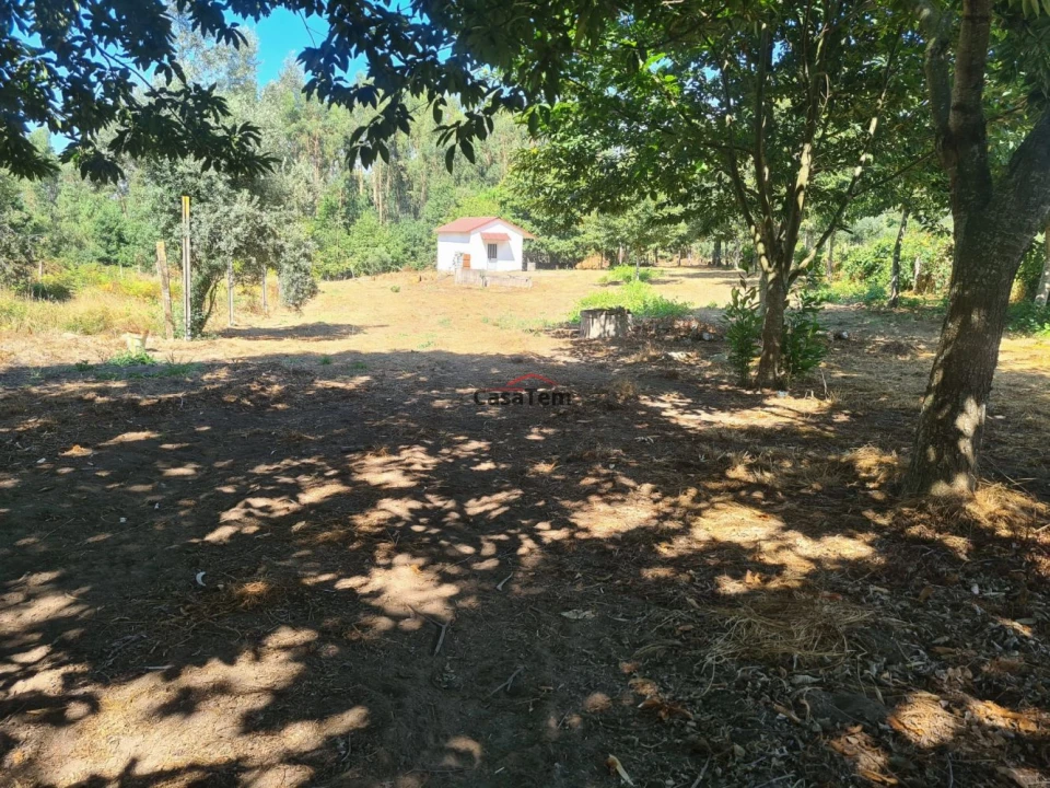 Terreno para Venda em Queirã Foto 3