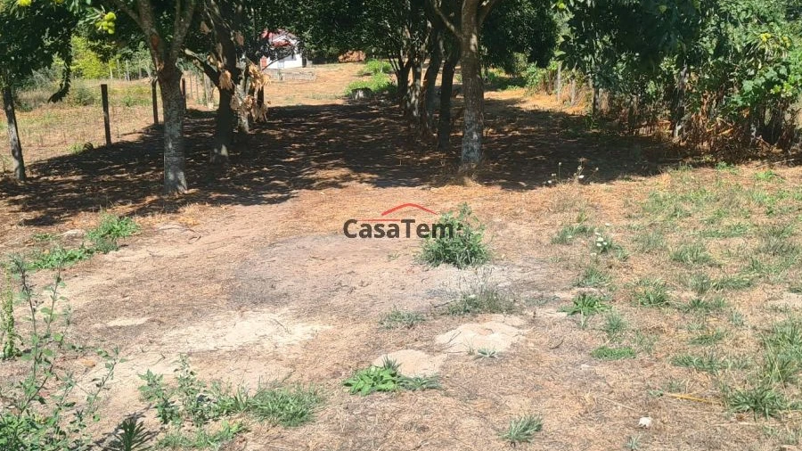 Terreno para Venda em Queirã