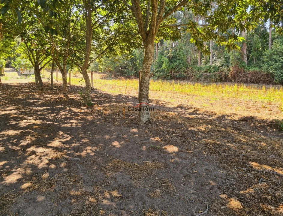 Terreno para Venda em Queirã Foto 2