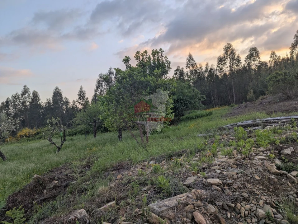 Moradia T3 para Venda em Pedrogão Grande Foto 42