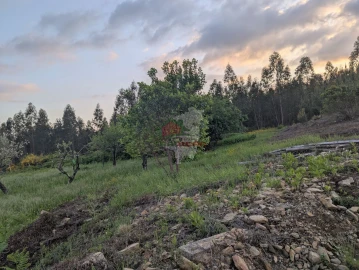 Moradia T3 para Venda em Pedrogão Grande