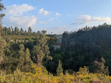 Moradia T3 para Venda em Pedrogão Grande