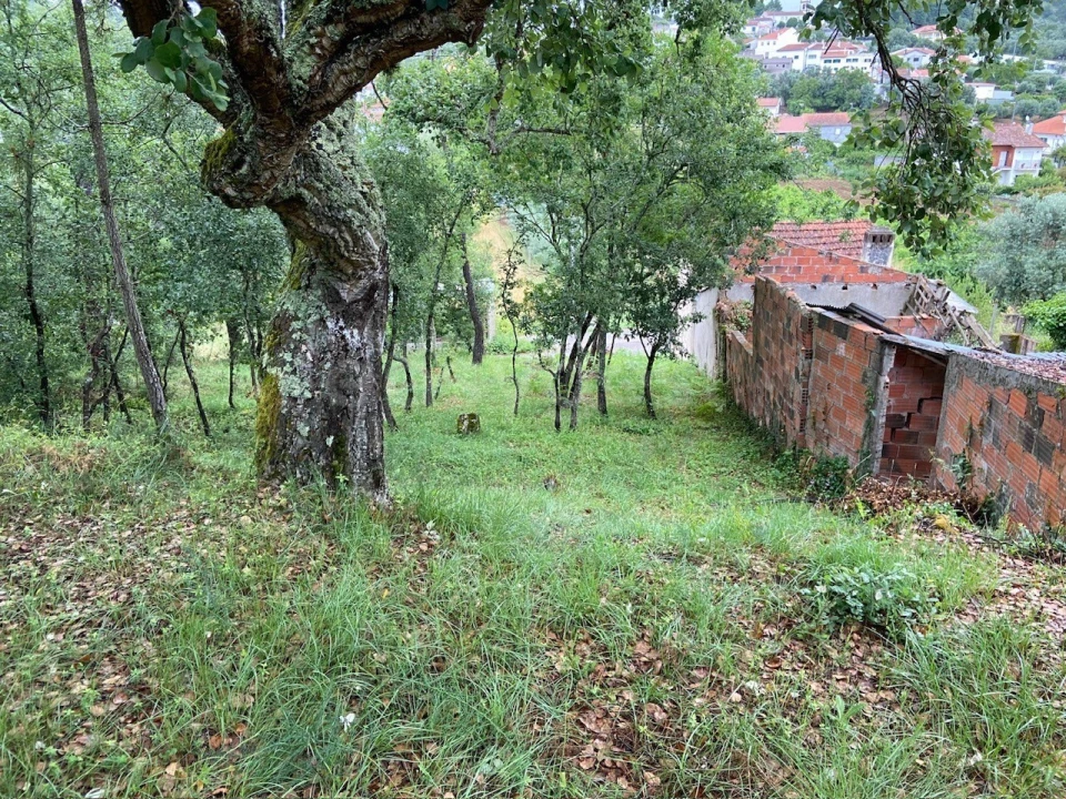 Terreno para Venda em Assafarge e Antanhol Foto 6
