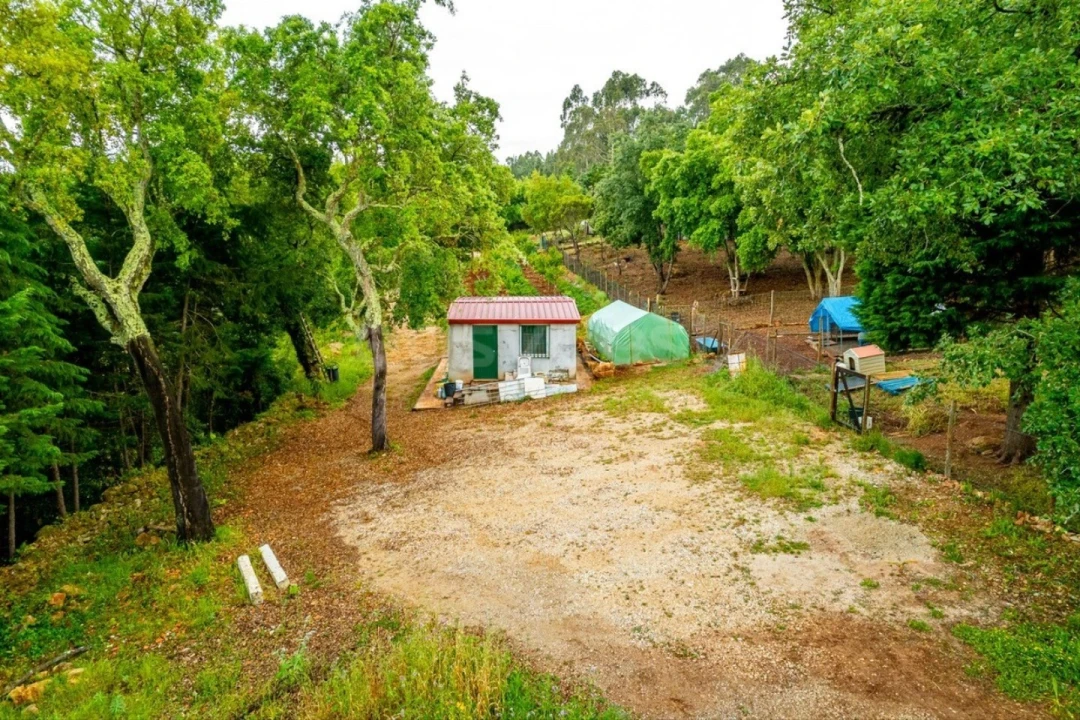 Terreno para Venda em Assafarge e Antanhol Foto 8