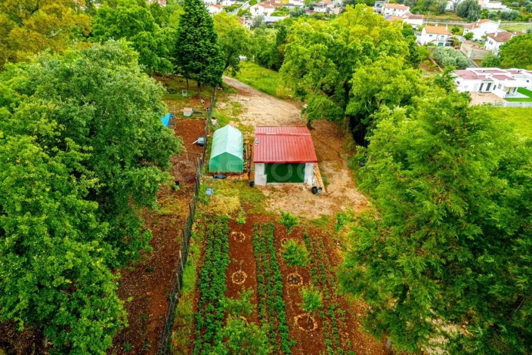 Terreno para Venda em Assafarge e Antanhol Foto 9