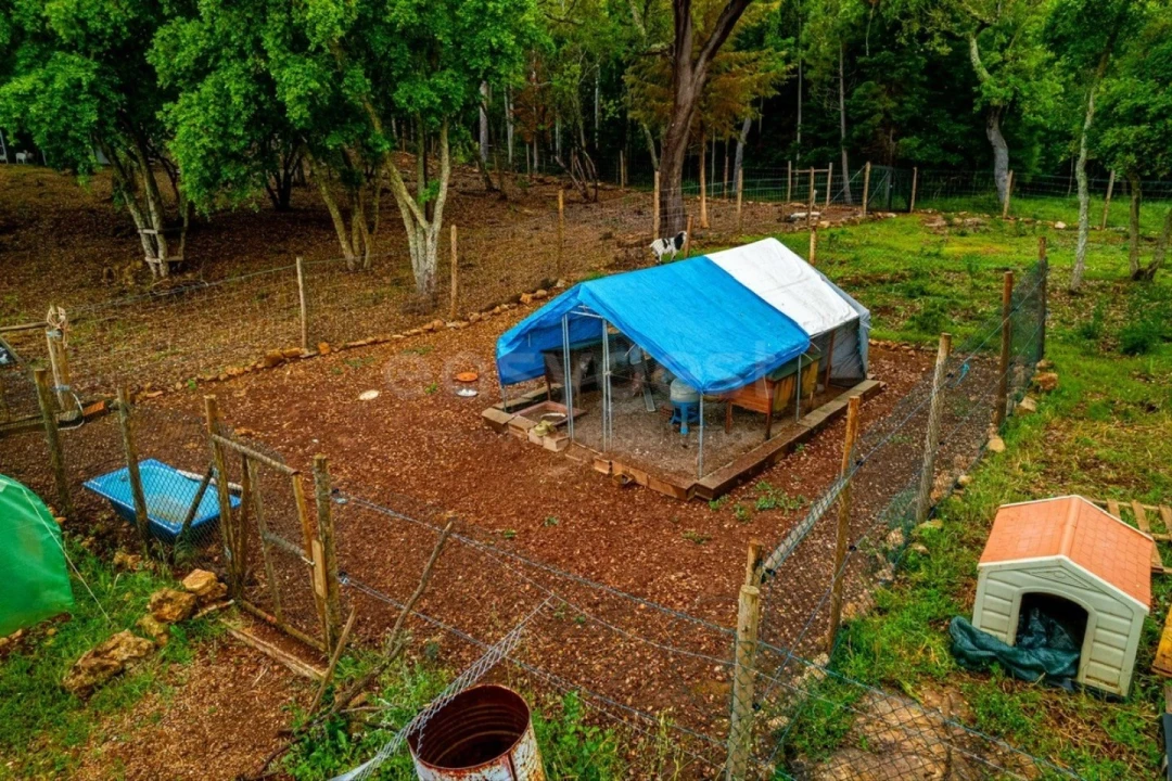 Terreno para Venda em Assafarge e Antanhol Foto 12