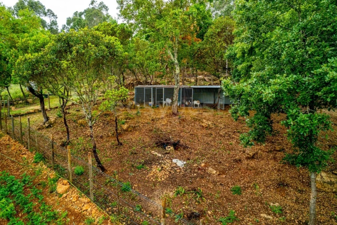 Terreno para Venda em Assafarge e Antanhol Foto 13