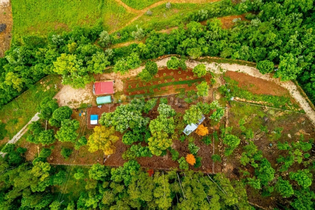 Terreno para Venda em Assafarge e Antanhol Foto 15