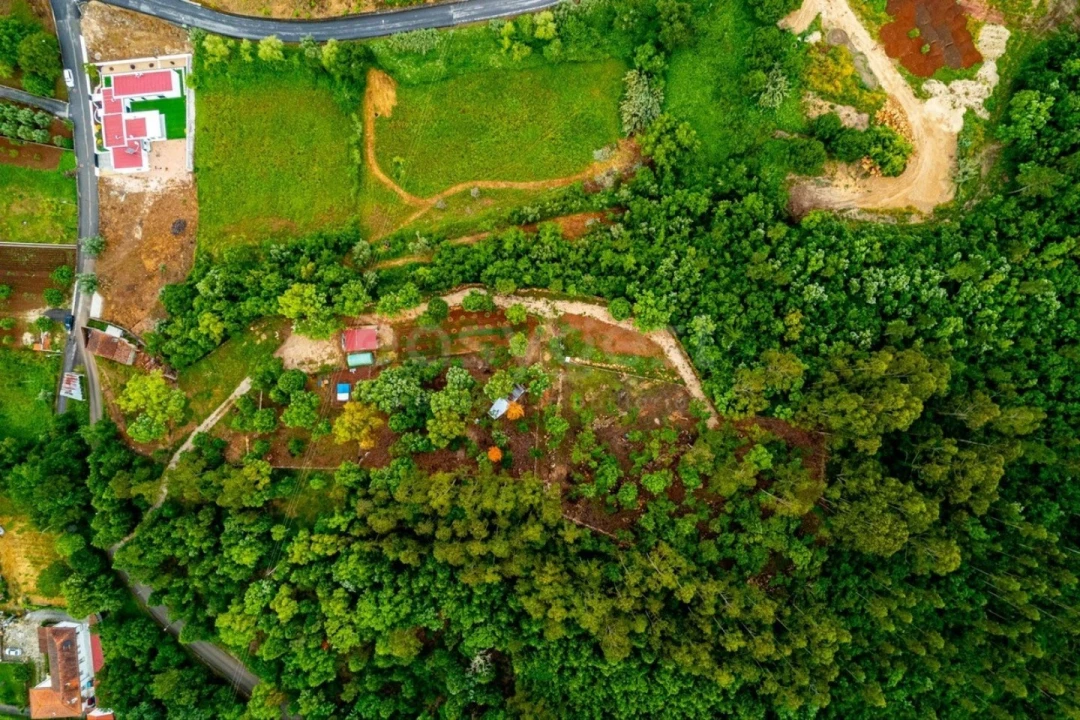 Terreno para Venda em Assafarge e Antanhol Foto 16