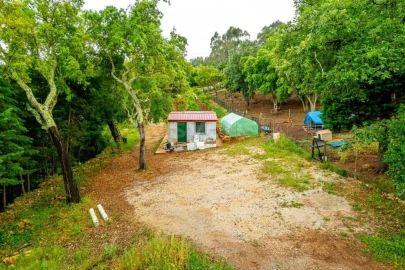 Terreno para Venda em Assafarge e Antanhol