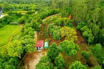 Terreno para Venda em Assafarge e Antanhol