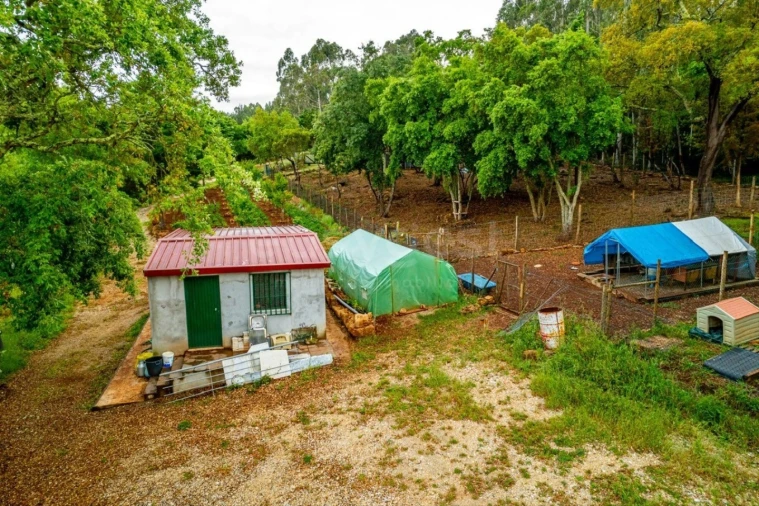 Terreno para Venda em Assafarge e Antanhol Foto 11