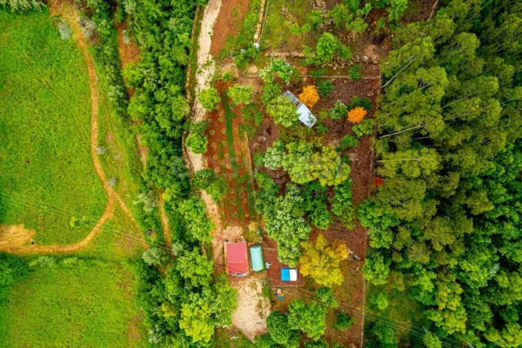 Terreno para Venda em Assafarge e Antanhol Foto 14