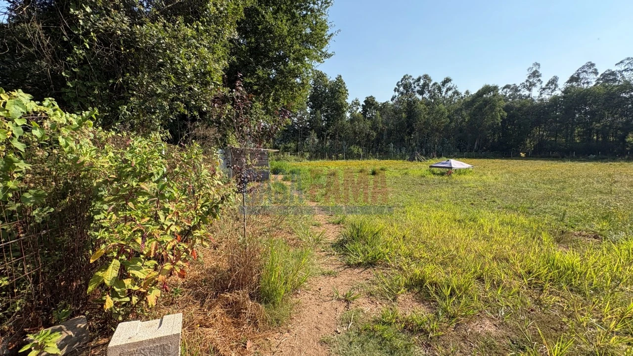 Terreno para Venda em Associação de Freguesias do Vale do Neiva Foto 3