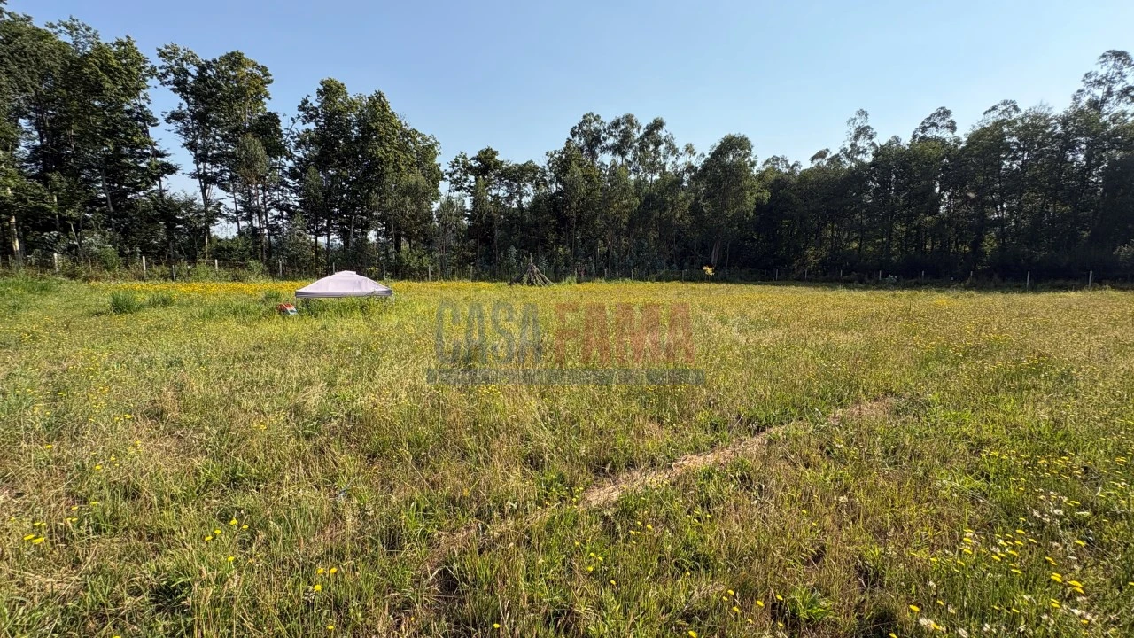 Terreno para Venda em Associação de Freguesias do Vale do Neiva Foto 5