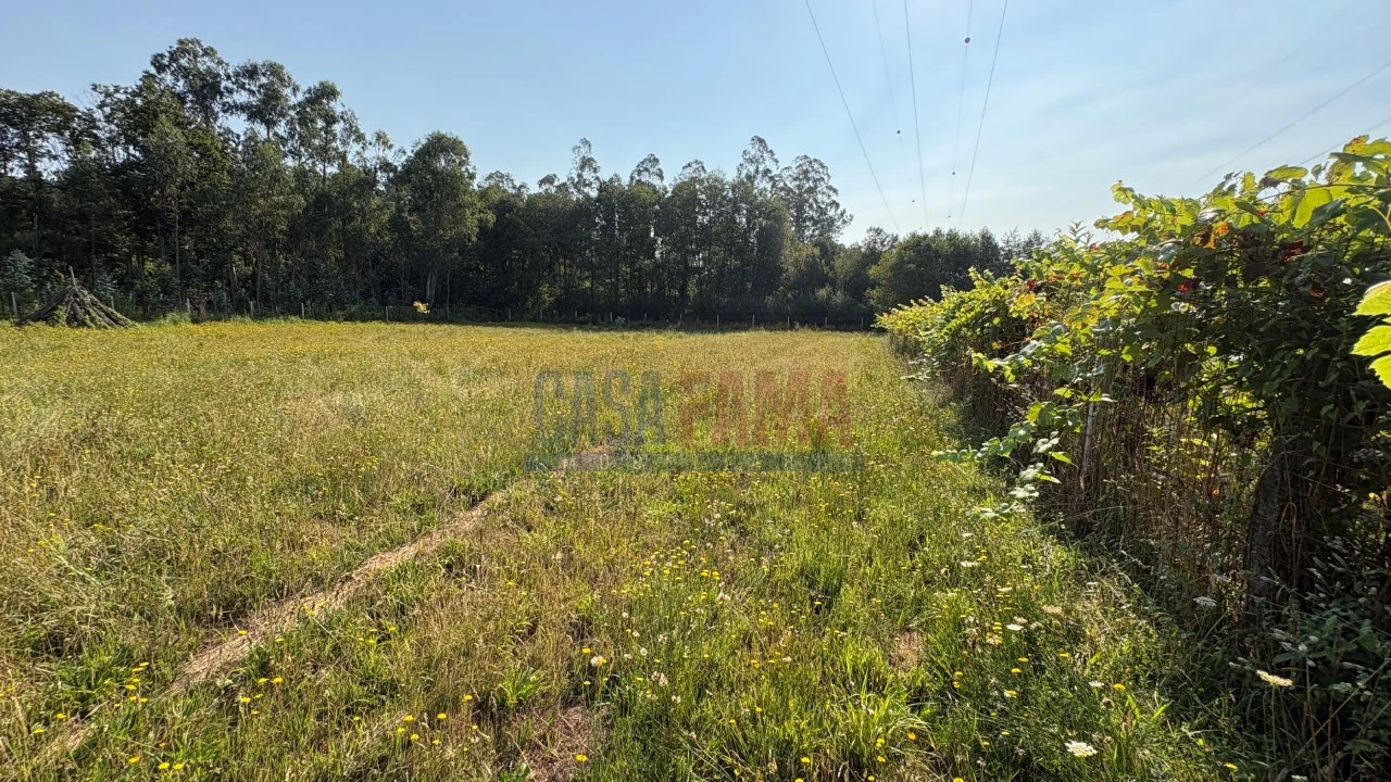 Terreno para Venda em Associação de Freguesias do Vale do Neiva Foto 6