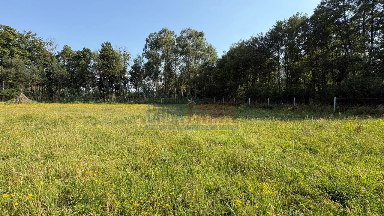 Terreno para Venda em Associação de Freguesias do Vale do Neiva Foto 9
