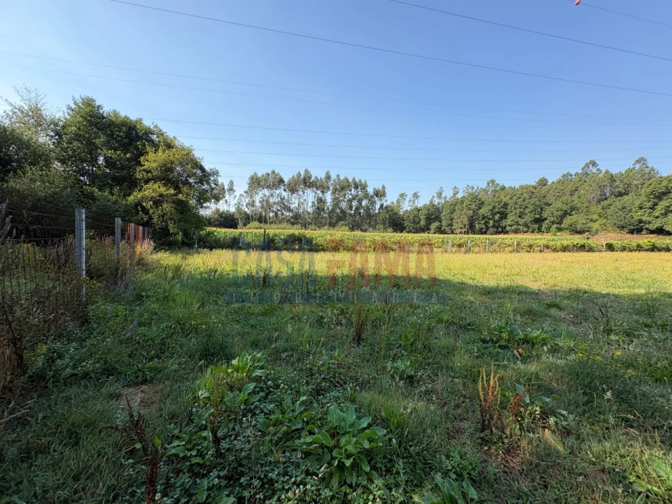 Terreno para Venda em Associação de Freguesias do Vale do Neiva Foto 13