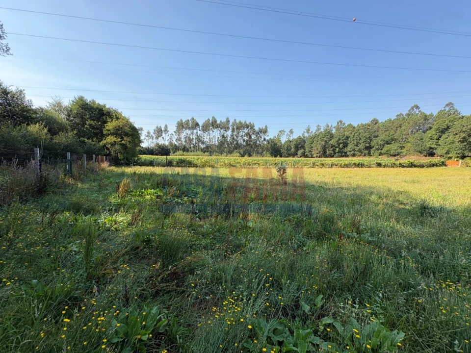 Terreno para Venda em Associação de Freguesias do Vale do Neiva Foto 16