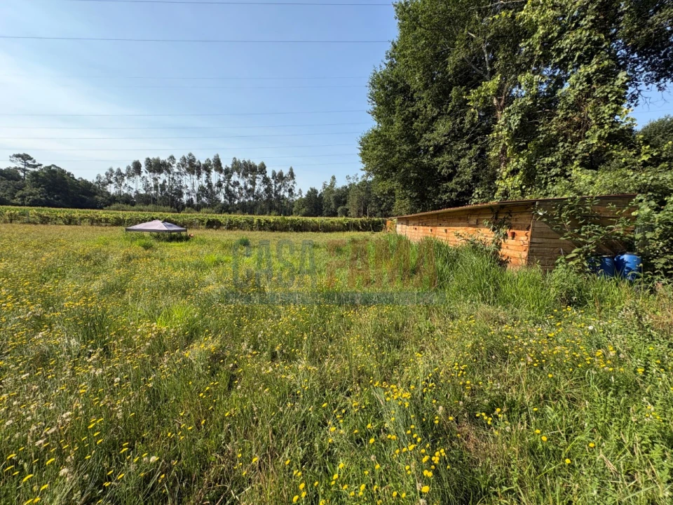 Terreno para Venda em Associação de Freguesias do Vale do Neiva Foto 17