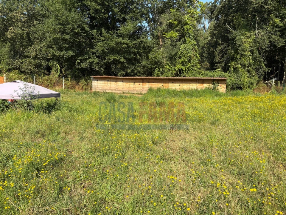 Terreno para Venda em Associação de Freguesias do Vale do Neiva Foto 18