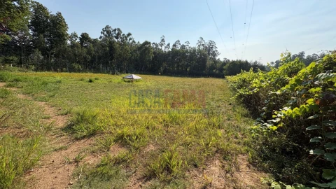 Terreno para Venda em Associação de Freguesias do Vale do Neiva