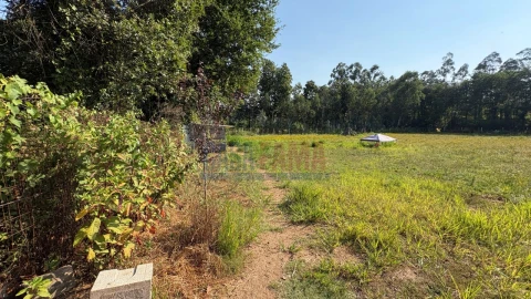 Terreno para Venda em Associação de Freguesias do Vale do Neiva
