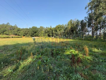 Terreno para Venda em Associação de Freguesias do Vale do Neiva
