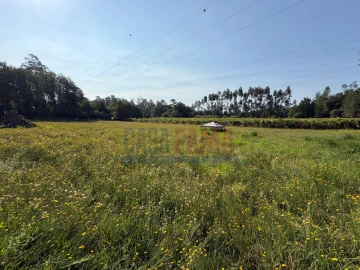 Terreno para Venda em Associação de Freguesias do Vale do Neiva