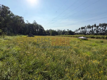 Terreno para Venda em Associação de Freguesias do Vale do Neiva