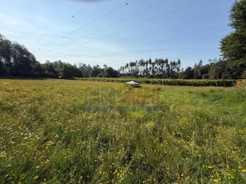 Terreno para Venda em Associação de Freguesias do Vale do Neiva