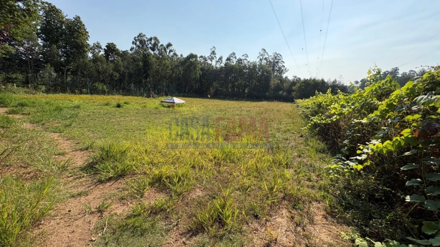 Terreno para Venda em Associação de Freguesias do Vale do Neiva Foto 2