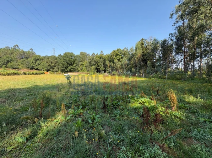 Terreno para Venda em Associação de Freguesias do Vale do Neiva Foto 11