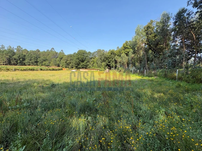 Terreno para Venda em Associação de Freguesias do Vale do Neiva Foto 14