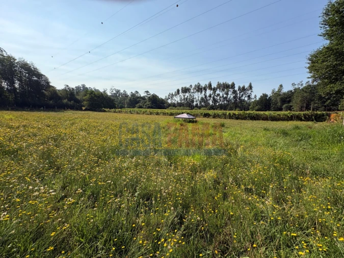 Terreno para Venda em Associação de Freguesias do Vale do Neiva Foto 23