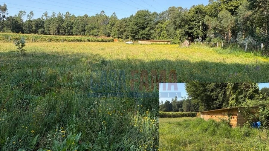 Terreno para Venda em Associação de Freguesias do Vale do Neiva