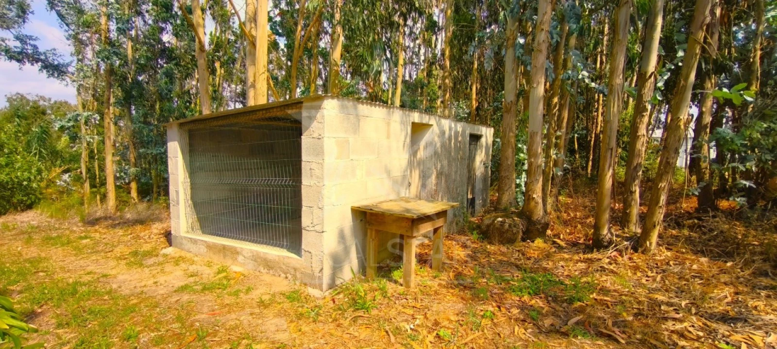 Moradia T2 para Venda em Carvalhal Foto 11