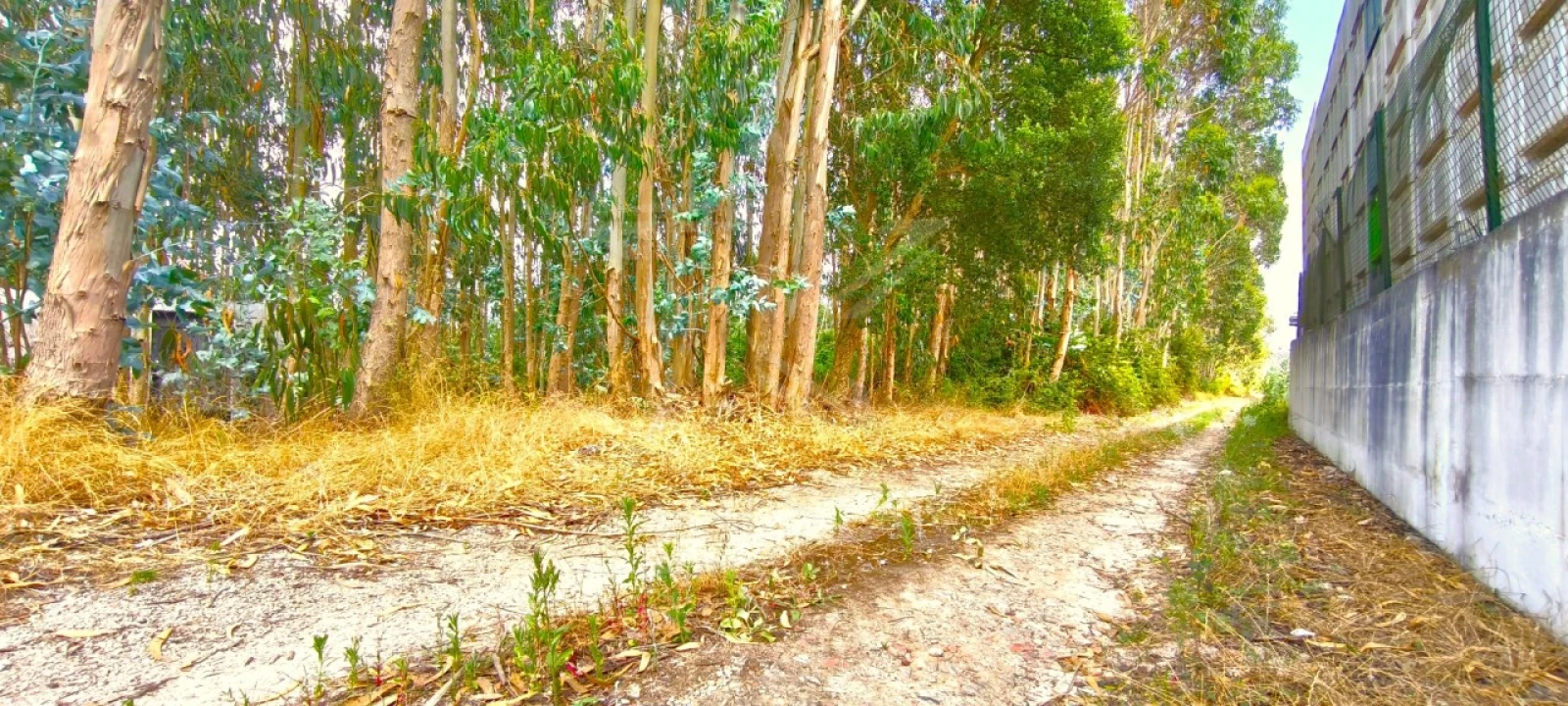 Moradia T2 para Venda em Carvalhal Foto 49