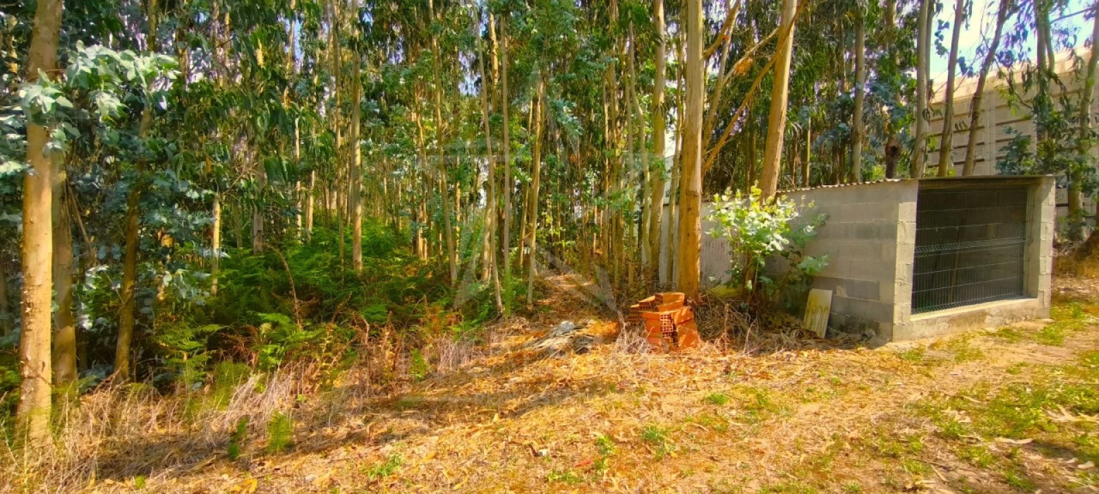 Moradia T2 para Venda em Carvalhal Foto 50