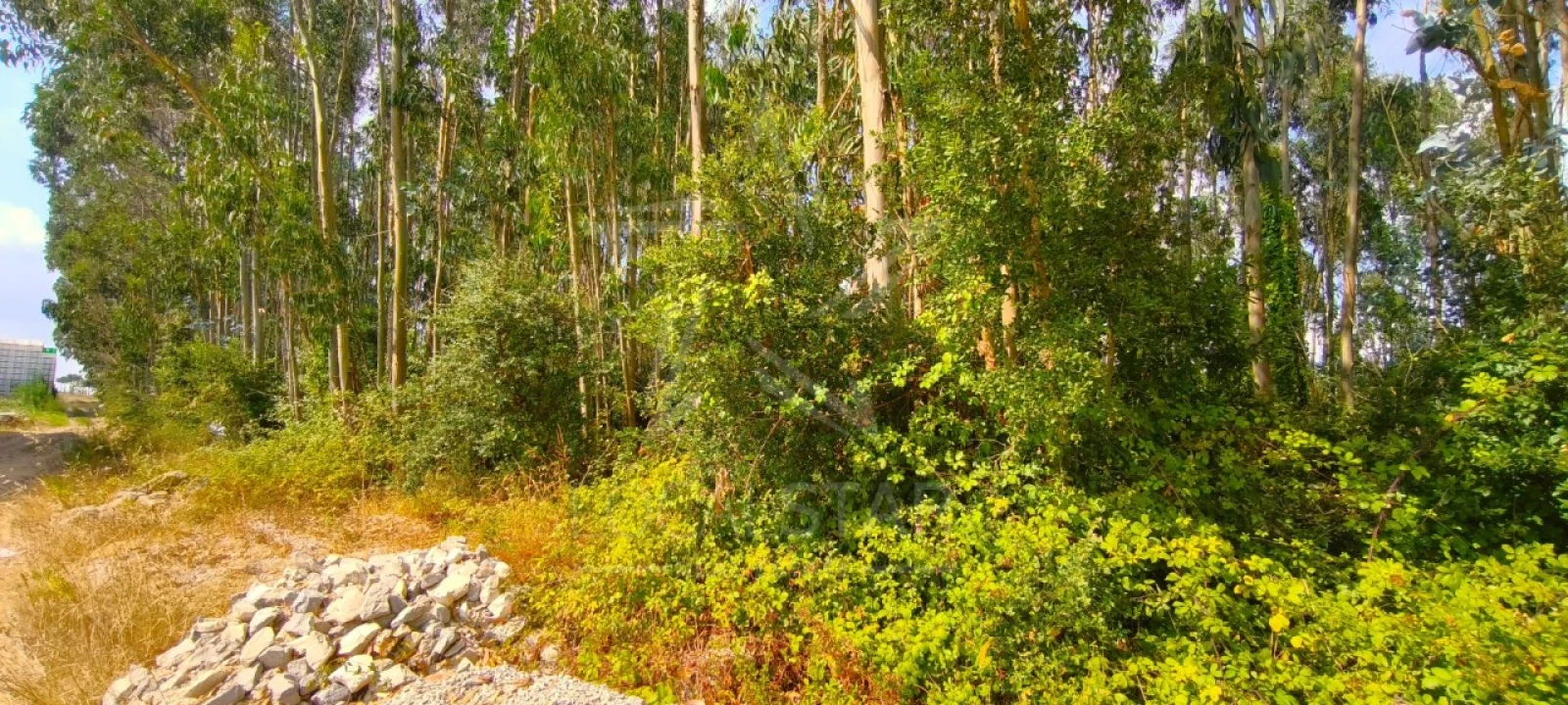 Moradia T2 para Venda em Carvalhal Foto 52