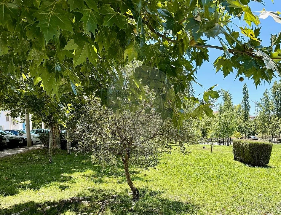 Apartamento T3 para Venda em Castelo Branco Foto 37